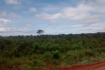 Fazenda 2.150 ha Rondonópolis